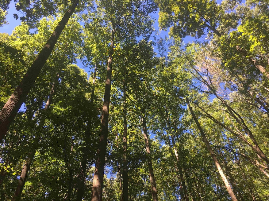 000 W Third St, Siler City, NC 27344 - photo 1