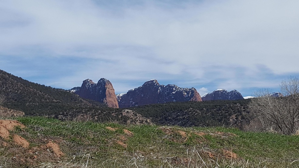 View of Fingers
