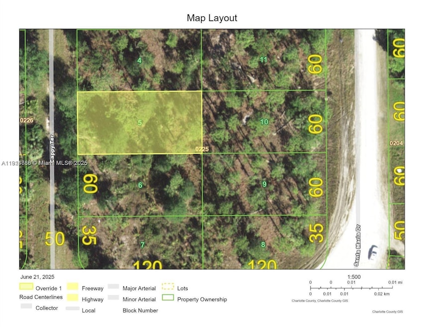 13352 Cappy Terrace, Punta Gorda, FL 33955 - photo 1