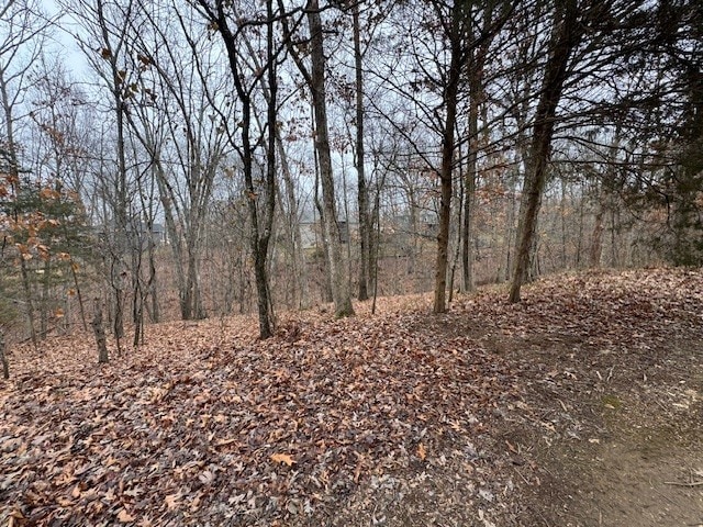 Rago Trail is at the front of lot