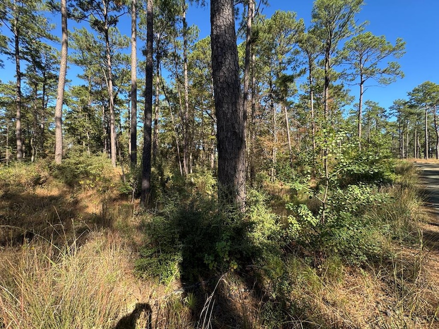 016 Private Road 6028, Brookeland, TX 75931 - photo 1