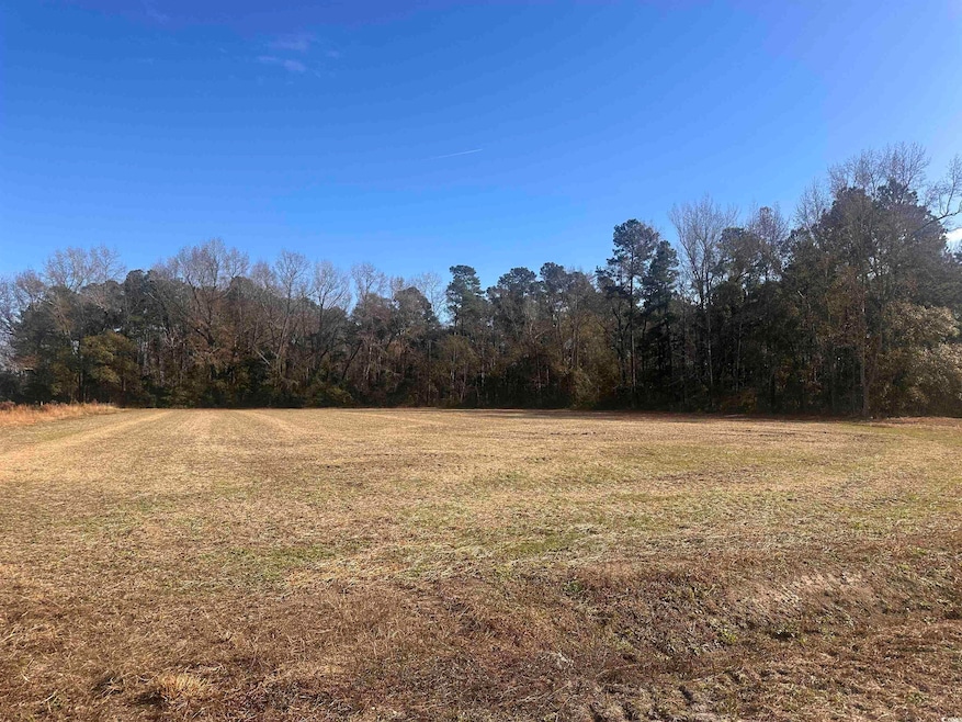 0 Elvington Rd, Nichols, SC 29581 - photo 1