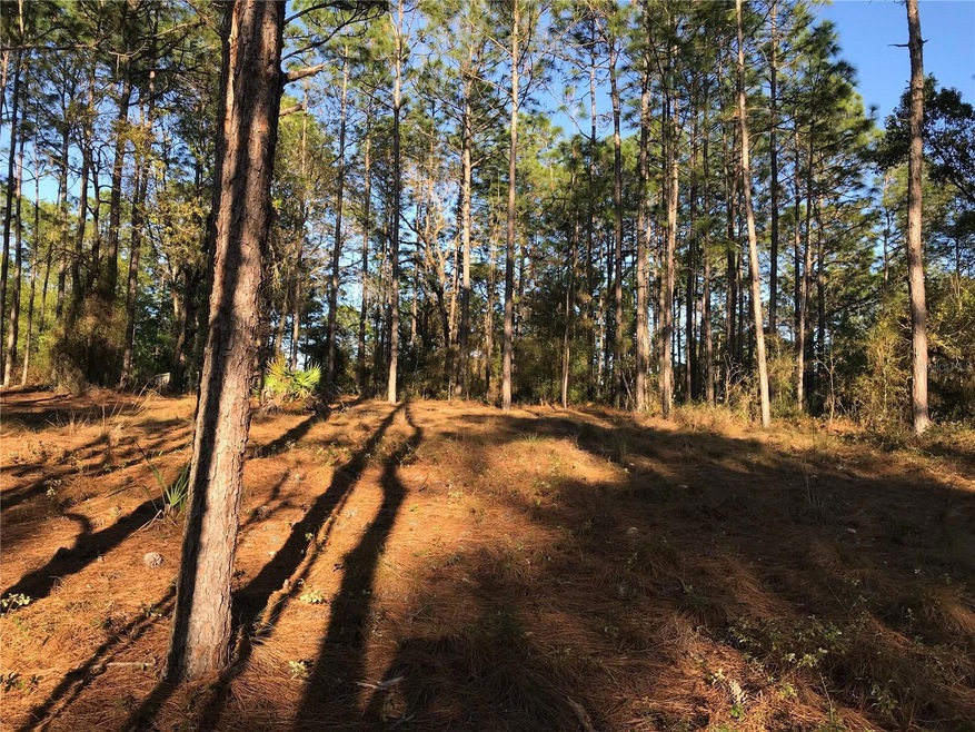 8965 SW 212th Ct, Dunnellon, FL 34431 - photo 1