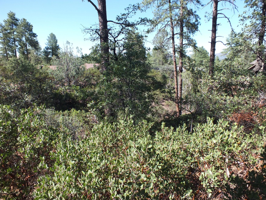 S0010976
