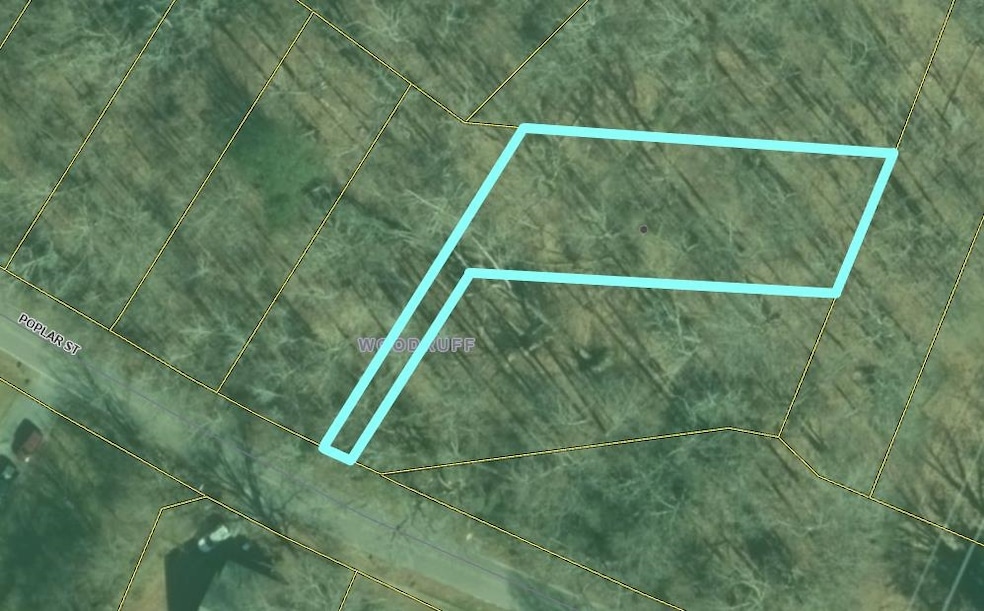 00 Poplar St, Woodruff, SC 29388 - photo 1