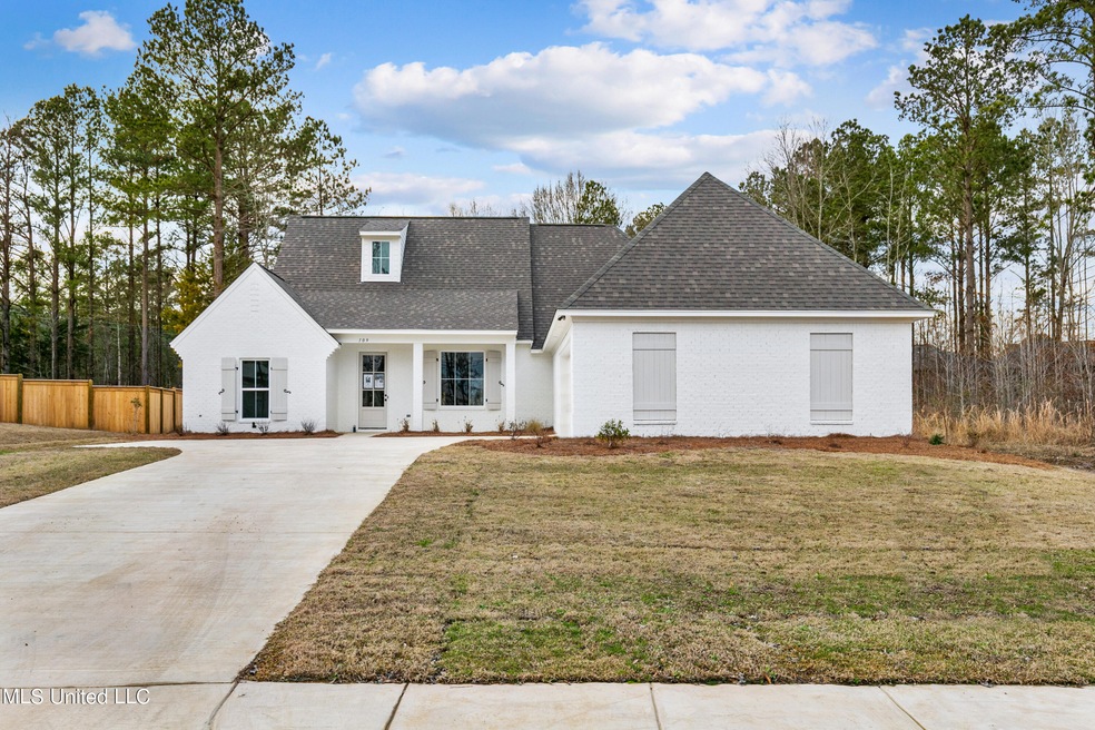109 Herons Bay Cir, Madison, MS 39110 - photo 1