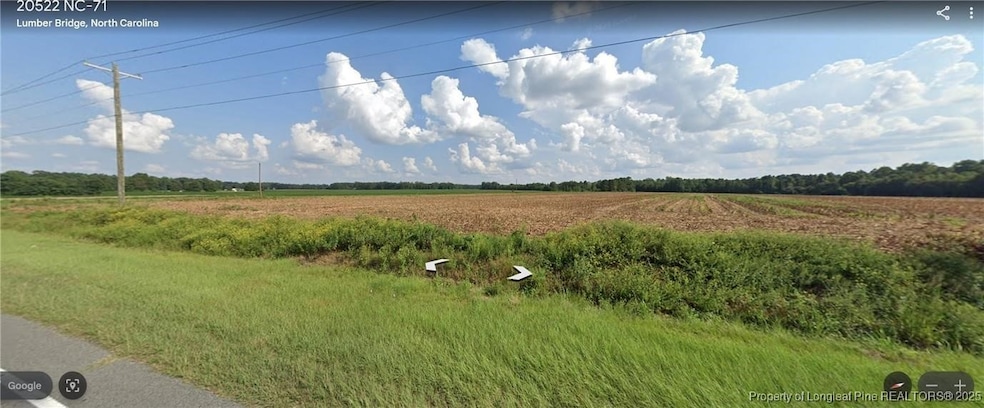 NC HWY 71 N Carolina 71, Lumber Bridge, NC 28357 - photo 1