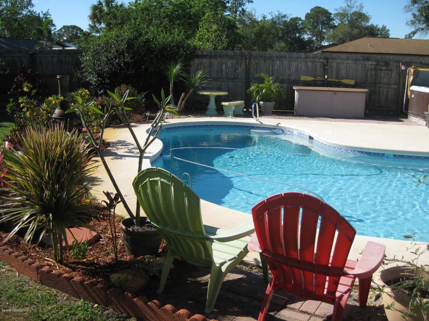 Pool Oasis