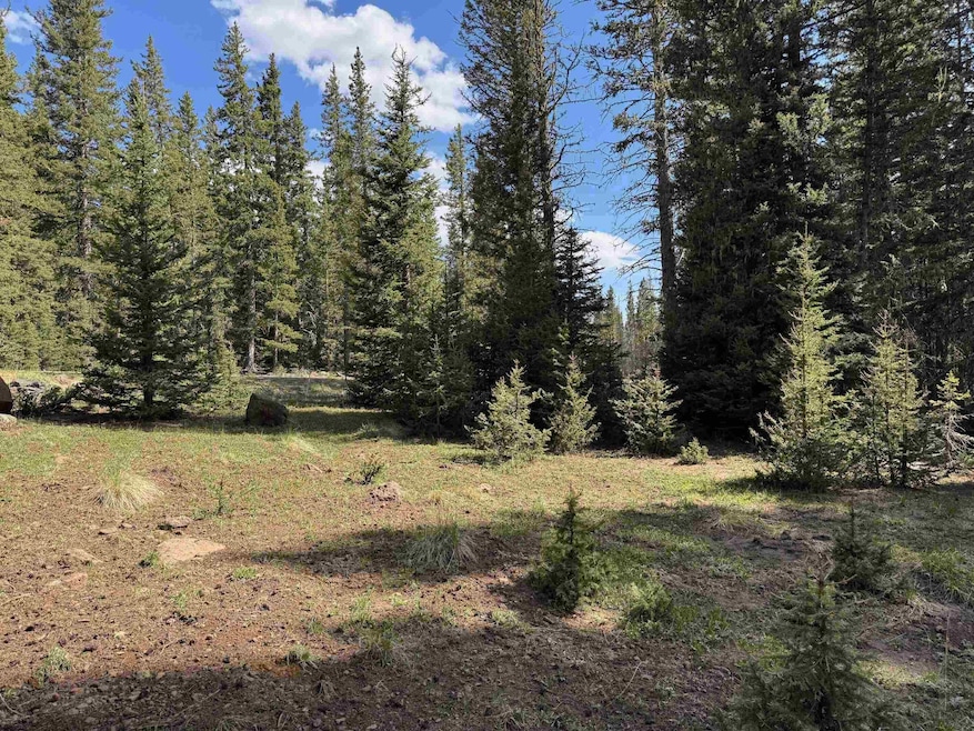 For Sale $79,000