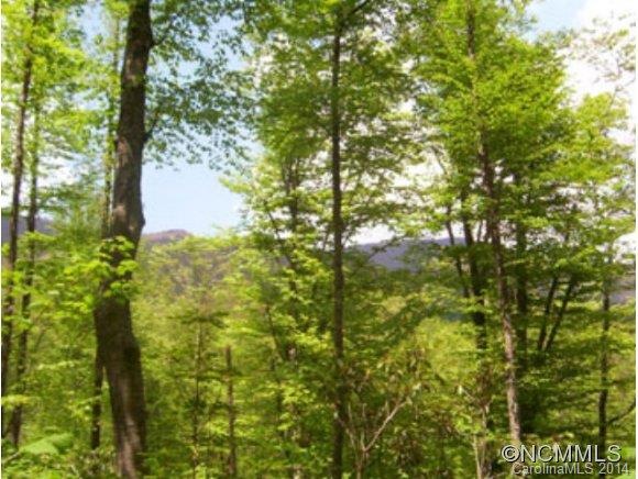 00 Roaring Fork Rd, Burnsville, NC 28714 - photo 1