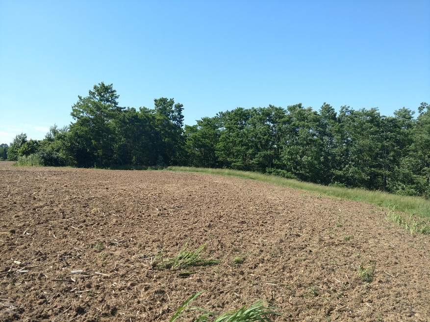 5 S Majors Rd, Saluda Township, IN 47243 - photo 1