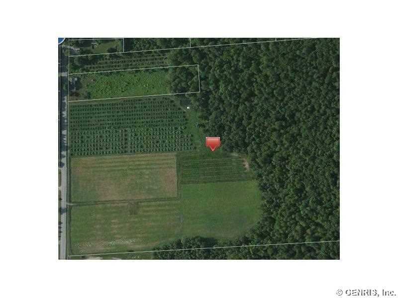 Land/Lot