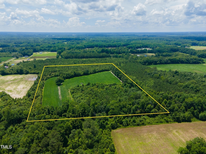 MODIFIED-2025-06-18-DJI_0193