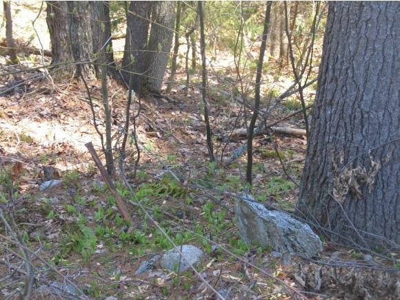 lot 9 Stark Rd, Lempster, NH 03605 - photo 1