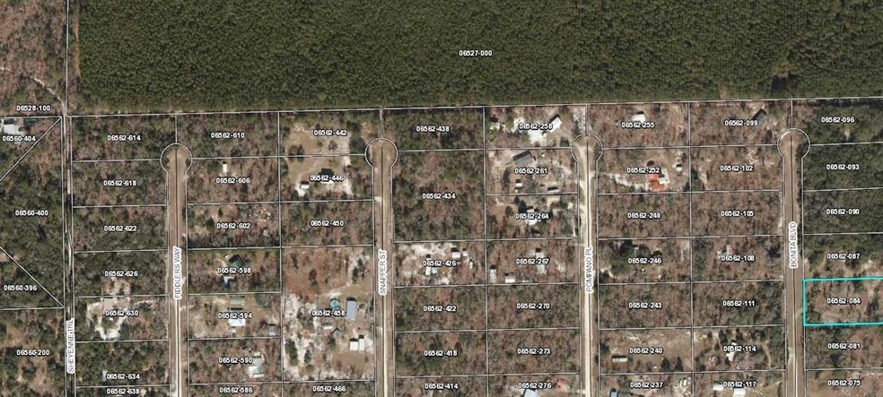 000 Snapper Rd, Keaton Beach, FL 32348 - photo 1