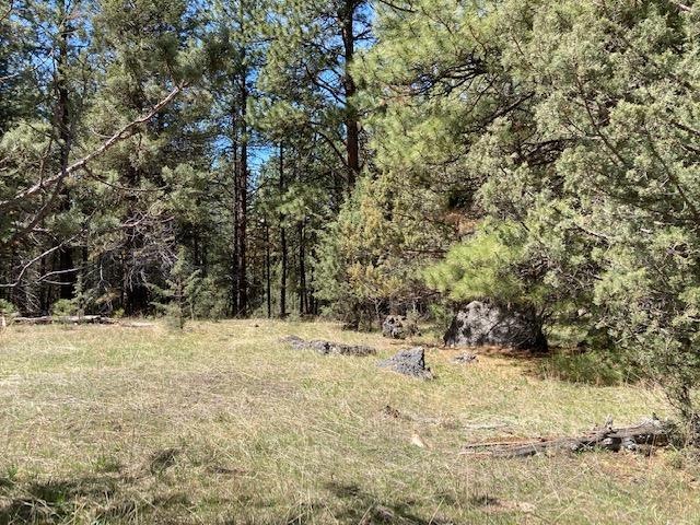 0 Nans Rock Rd unit 220121943, Mount Vernon, OR 97865 - photo 1