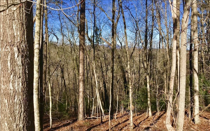 107 Ridge Crest Cir, Ellijay, GA 30540 - photo 1