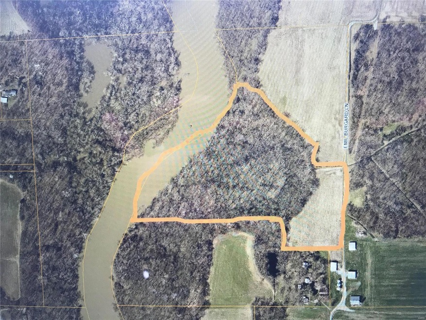 0TBB Emil Burgard Ln, Fayetteville Township, IL 62258 - photo 1