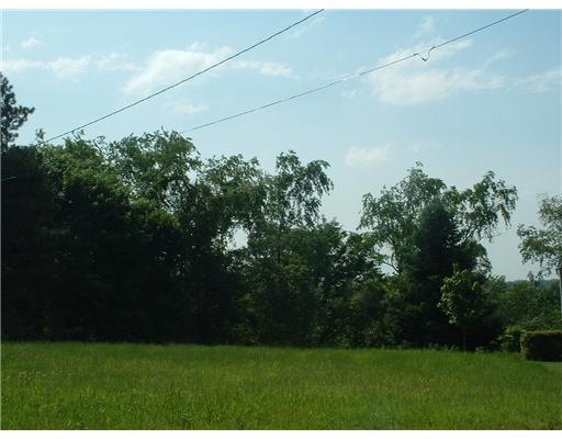 Land/Lot. Bring your builder and your DREAMS to this cleared lot with utilities in a great  a great Monongahela Area!
