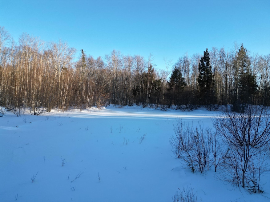 DJI_0045