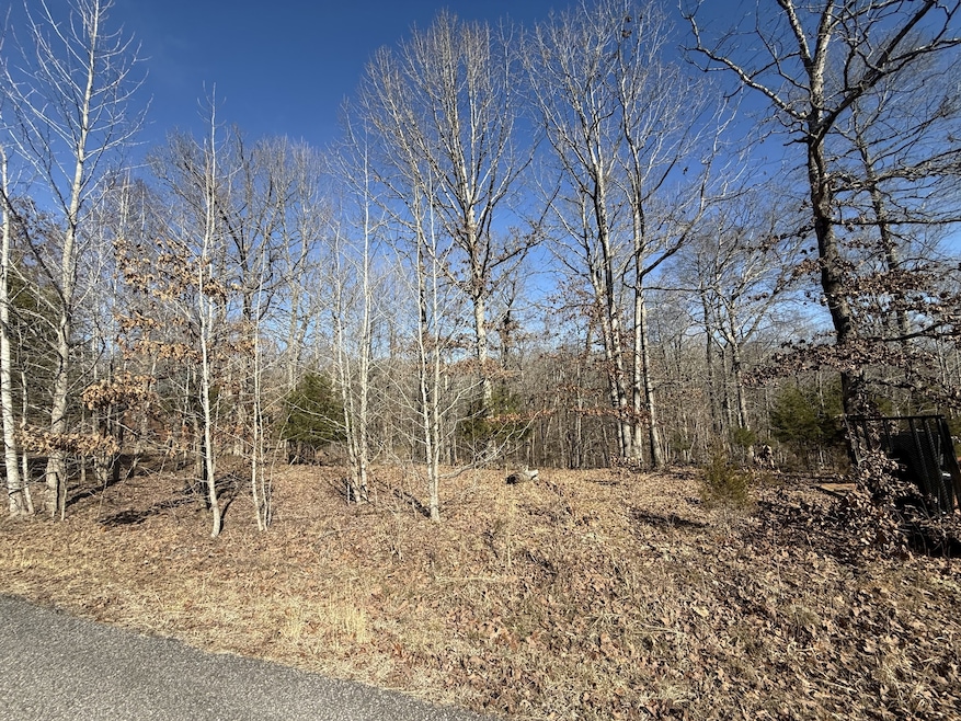20 Backwoods Estates, Indian Mound, TN 37079 - photo 1