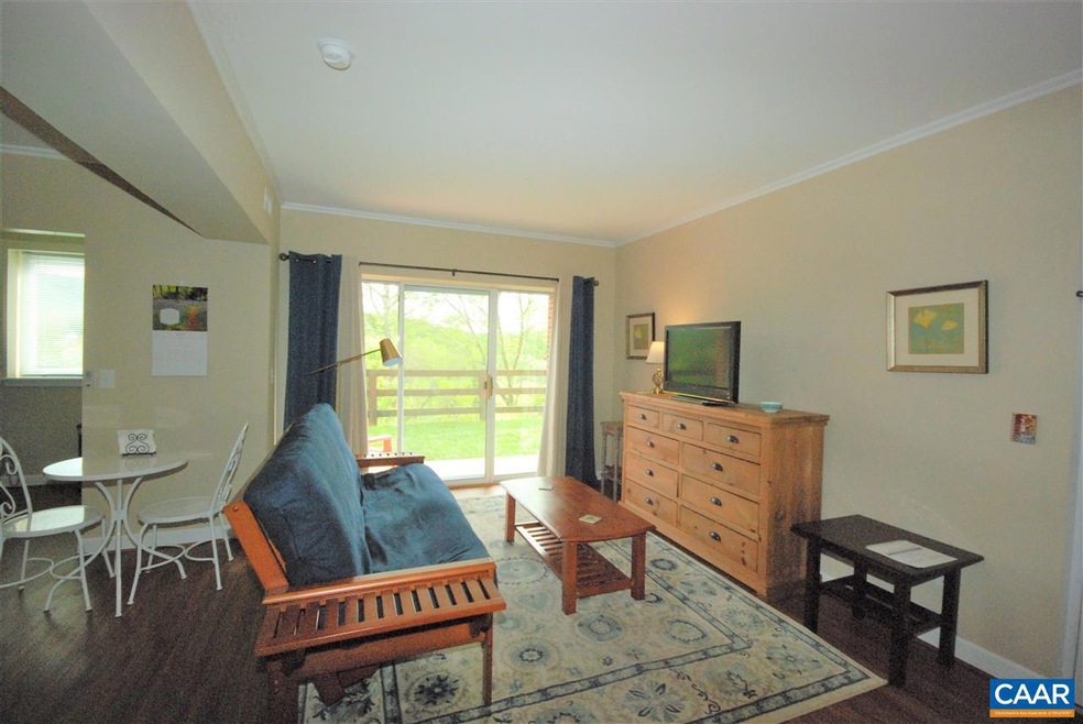 1604 Monticello Ave unit B, Charlottesville, VA 22902 - photo 1