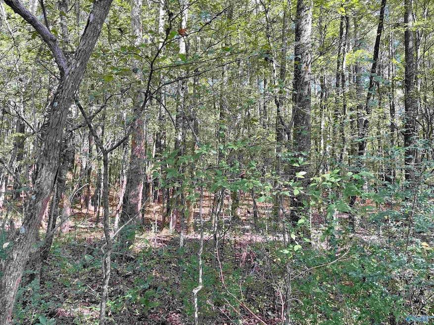 4A Carter Rd, Athens, AL 35611 - photo 1