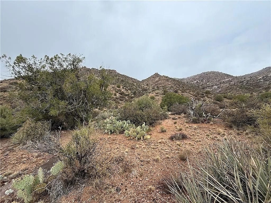 Purple Heart Trail, Kingman, AZ 86401 - photo 1