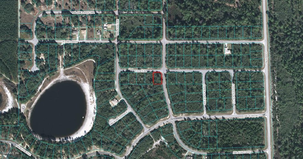 00 Fisher Place, Ocklawaha, FL 32179 - photo 1