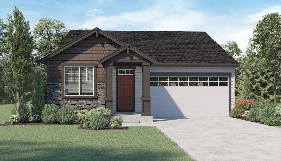 SPRUCE D Rendering