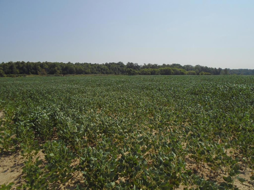 000 Estill Baker Rd, Hanson, KY 42413 - photo 1