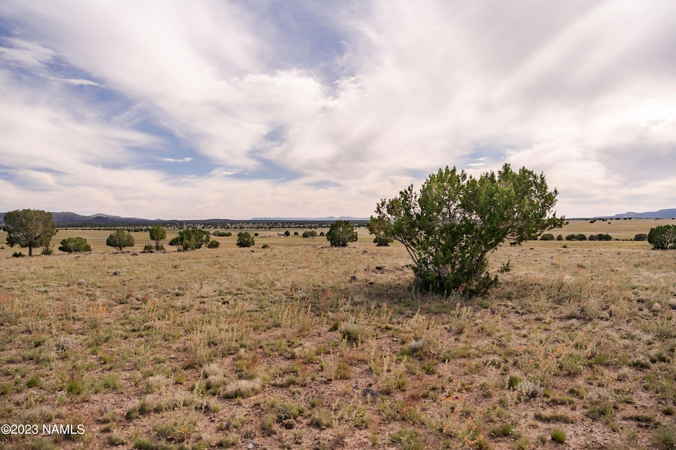 000-A1 Kirby Lane Parcel A1 Ln, Ash Fork, AZ 86320 - photo 1