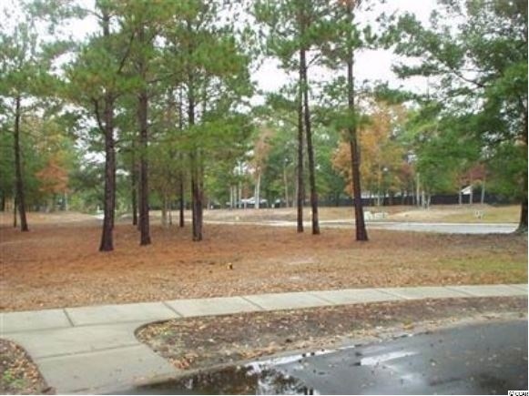 9284 Dever Ct unit Lot 121, Calabash, NC 28467 - photo 1