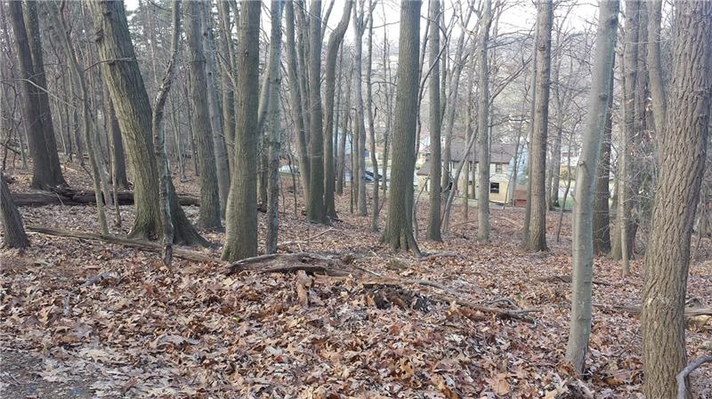 Property as seen from the roadway