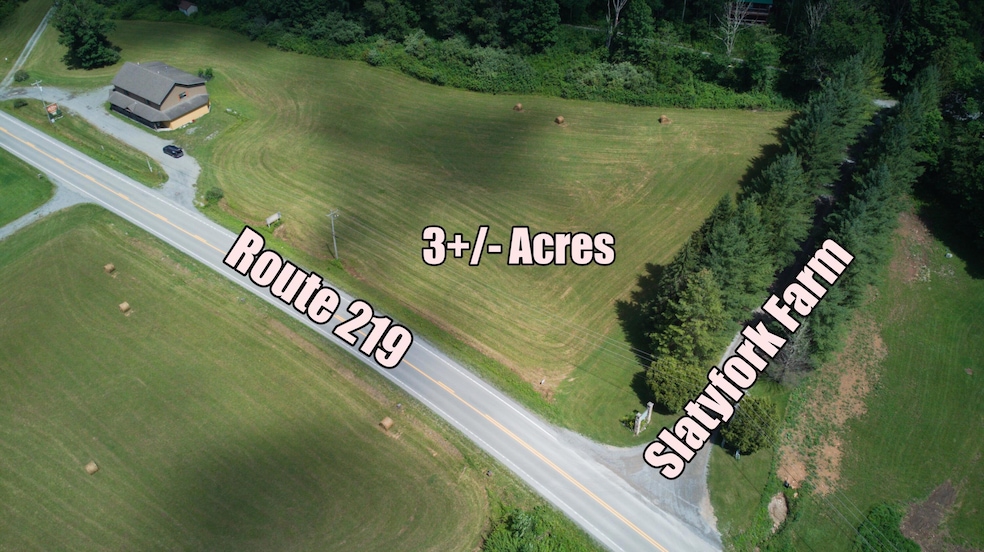 37787 Seneca Trail, Slaty Fork, WV 26291 - photo 1