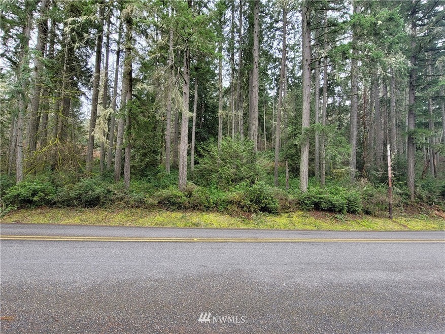 9203 Eckenstam Johnson Rd, Anderson Island, WA 98303 - photo 1