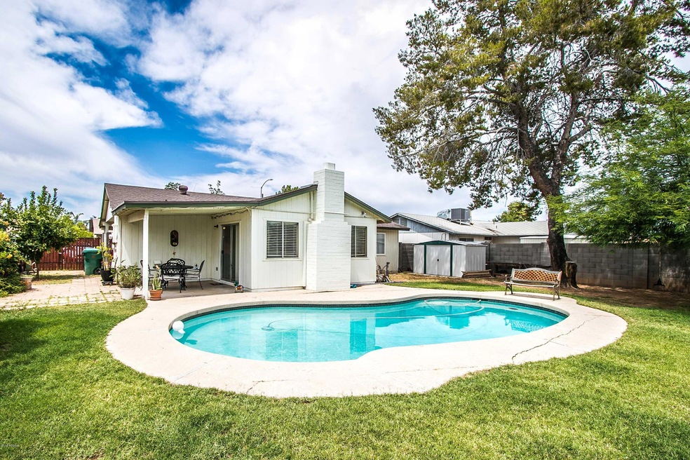 Large Backyard with Pool