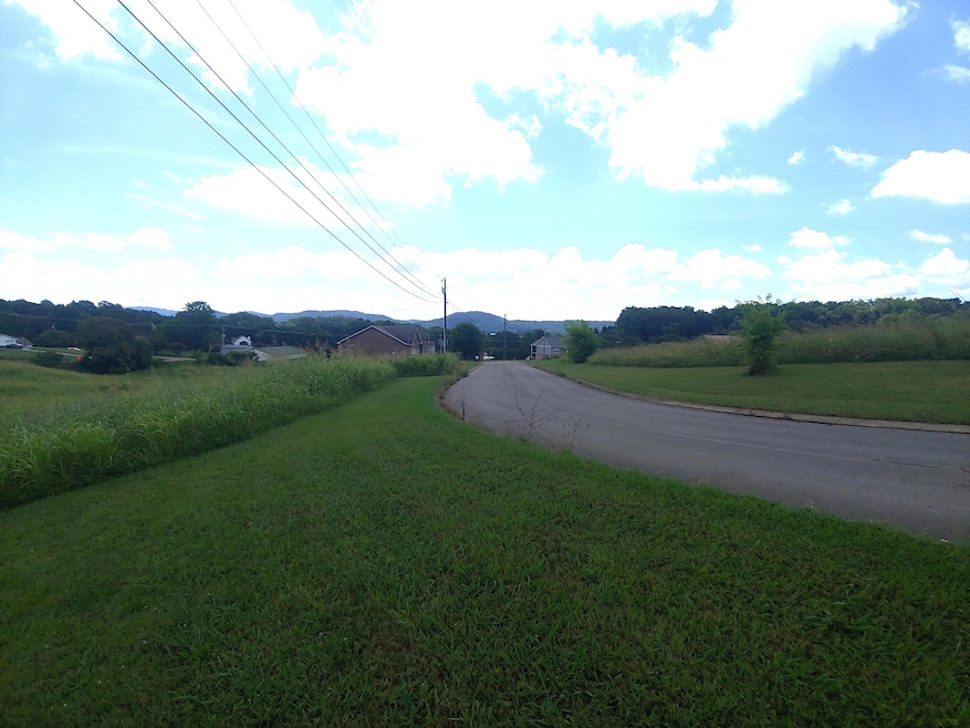 Lot 11 Pocahontas Ln, Rutledge, TN 37861 - photo 1