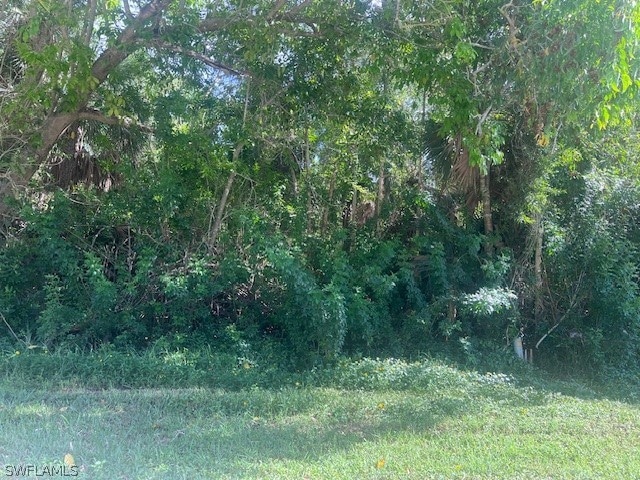 XXX Pine Tree Dr, Naples, FL 34112 - photo 1