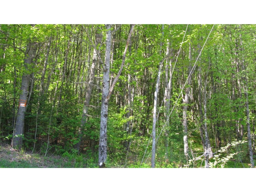 16/1 Main St, Bethlehem, NH 03574 - photo 1