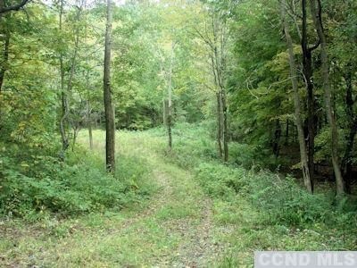 0 Oxbow Rd, Hillsdale, NY 12529 - photo 1