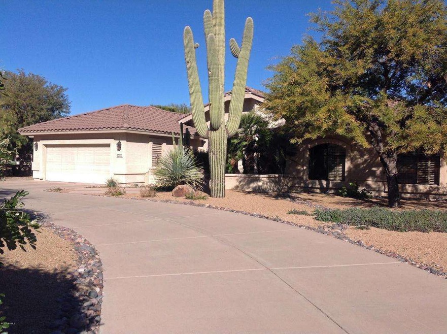 Beautiful Saguaro greets you in this cir