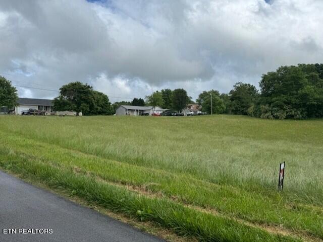 Lot 032