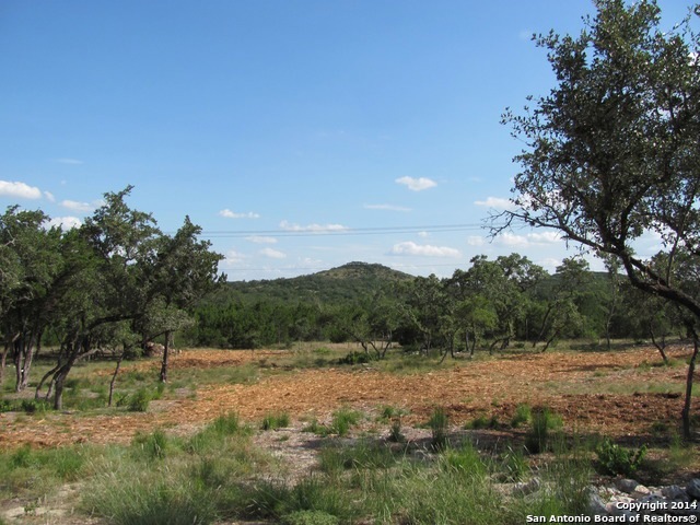 11214 Caliza Bluff, Fair Oaks, TX 78006 - photo 1