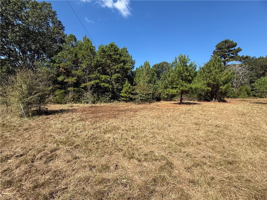 4915 Farm To Market 227, Grapeland, TX 75844 - photo 1