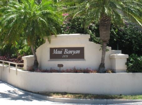Maui Banyan