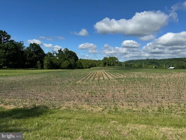 8295 Chestnut Hill Church Rd, Coopersburg, PA 18036 - photo 1