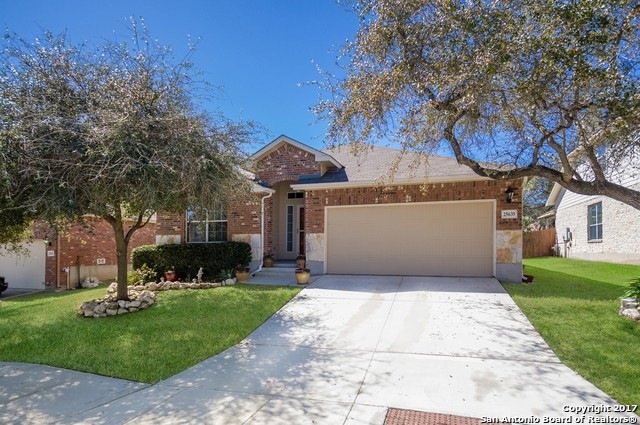 25635 Spirea, San Antonio, TX 78261 - photo 1