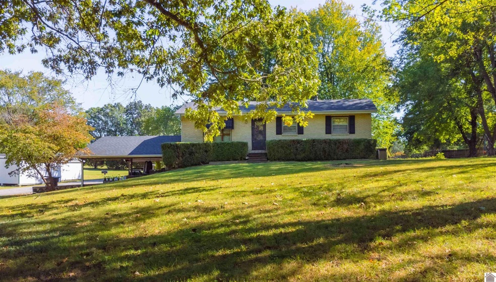 6360 Old Mayfield Rd, Paducah, KY 42003 MLS 124302