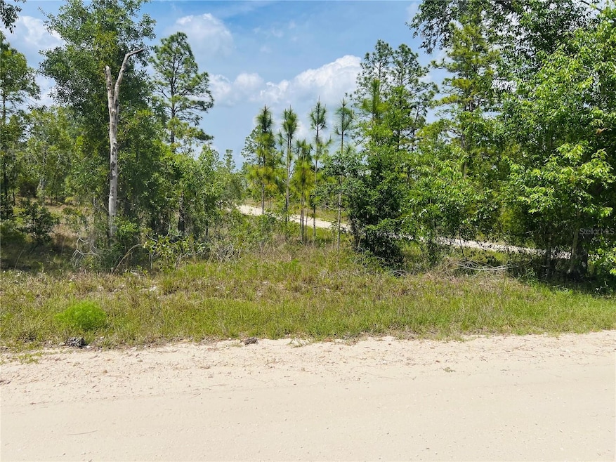 0000 NE 132 Terrace, Williston Highlands, FL 32696 - photo 1